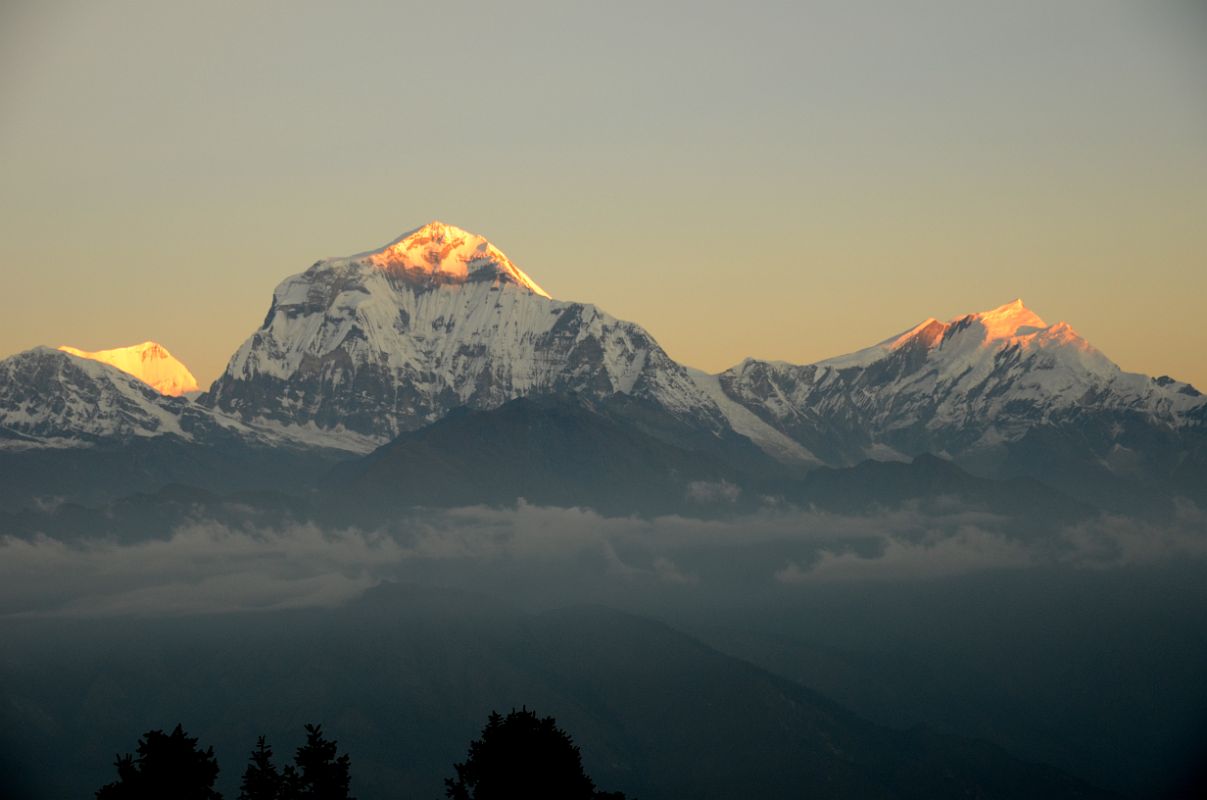 Poon Hill 06 Dhaulagiri III and II, Dhaulagiri and Tukuche Peak With First Rays Of Sunrise 